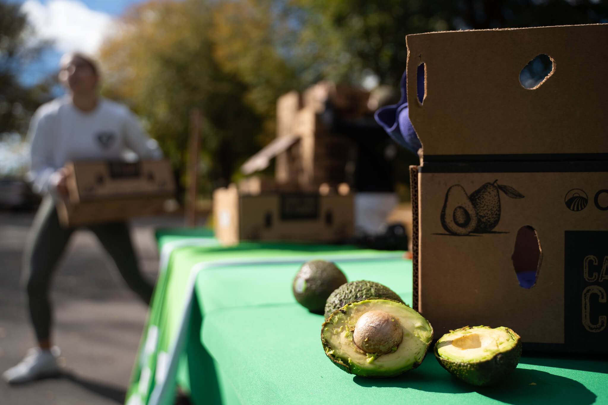 Contact Sharing Excess about partnerships, volunteering, or food rescue.