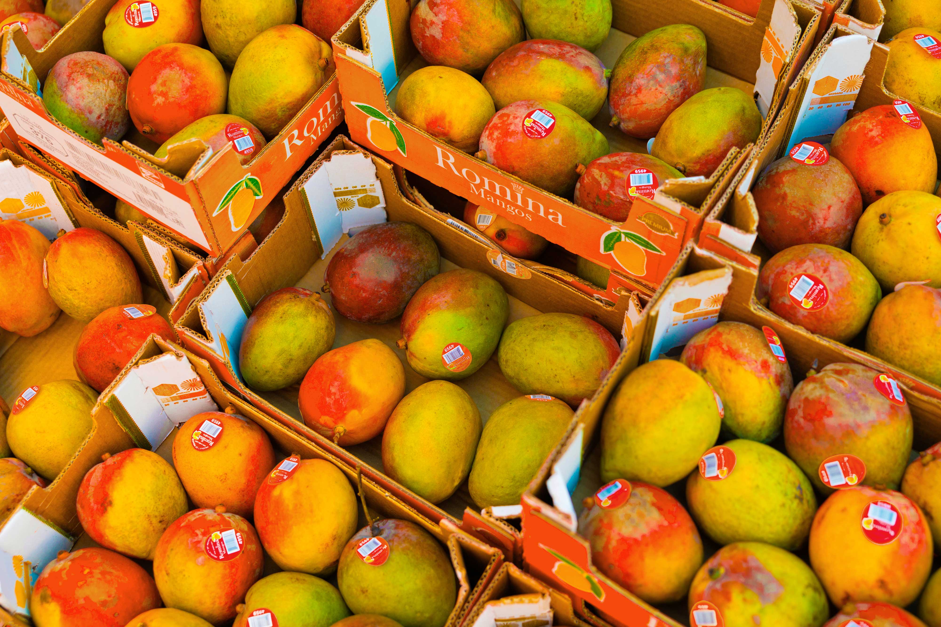 Fresh mangoes at a Sharing Excess distribution